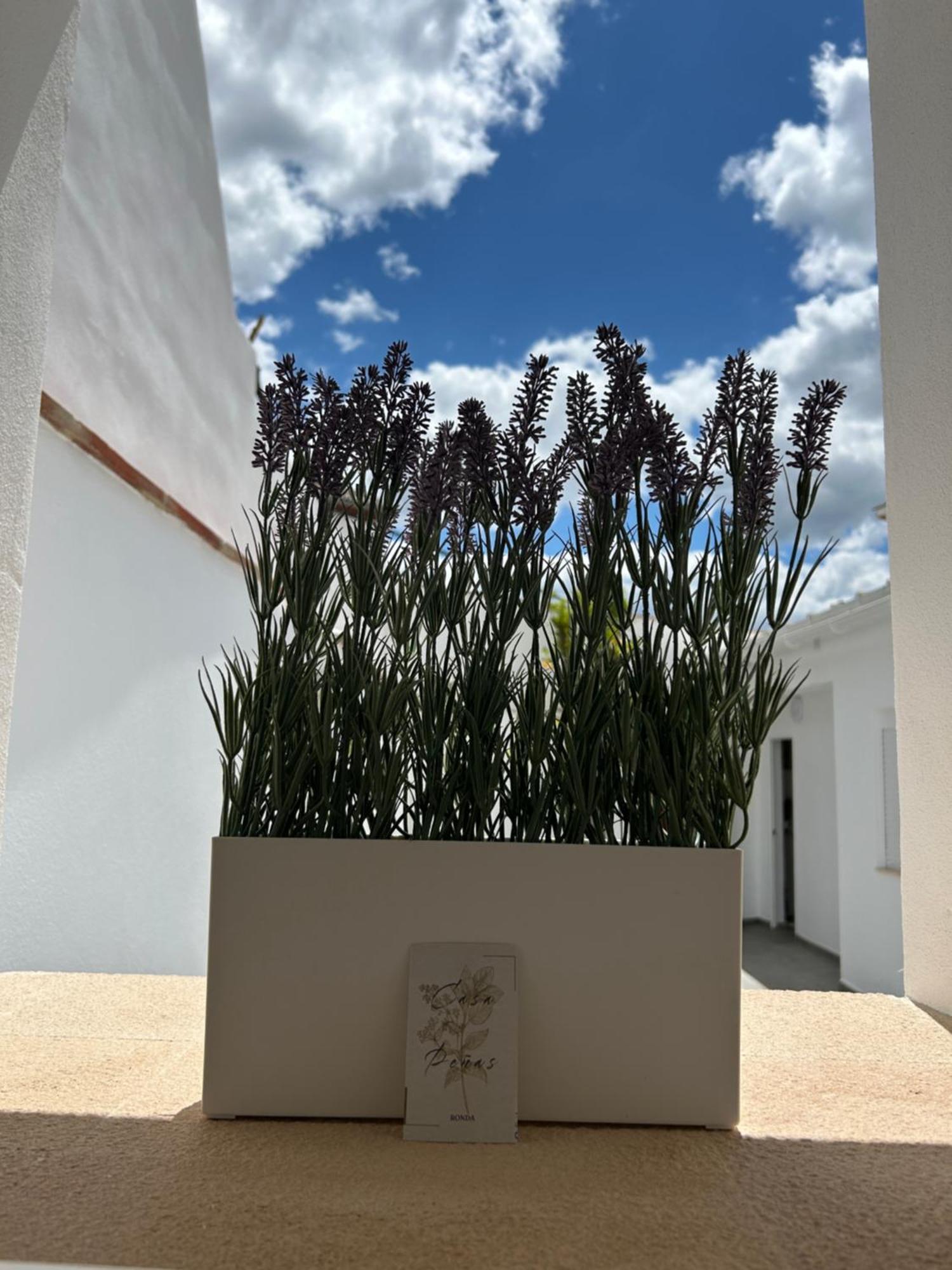 Casa Penas 2 Apartment Ronda